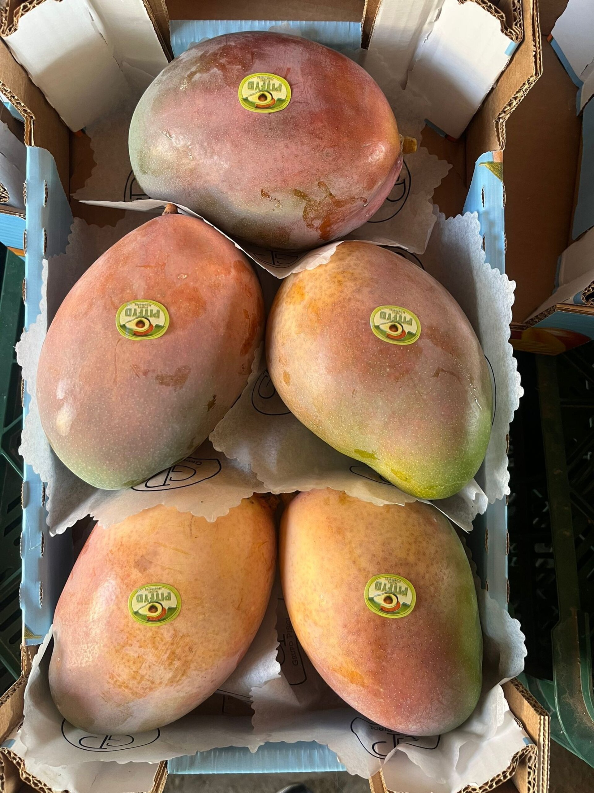 MANGO KEITT ECO CAJA 4 KG APROX - 2