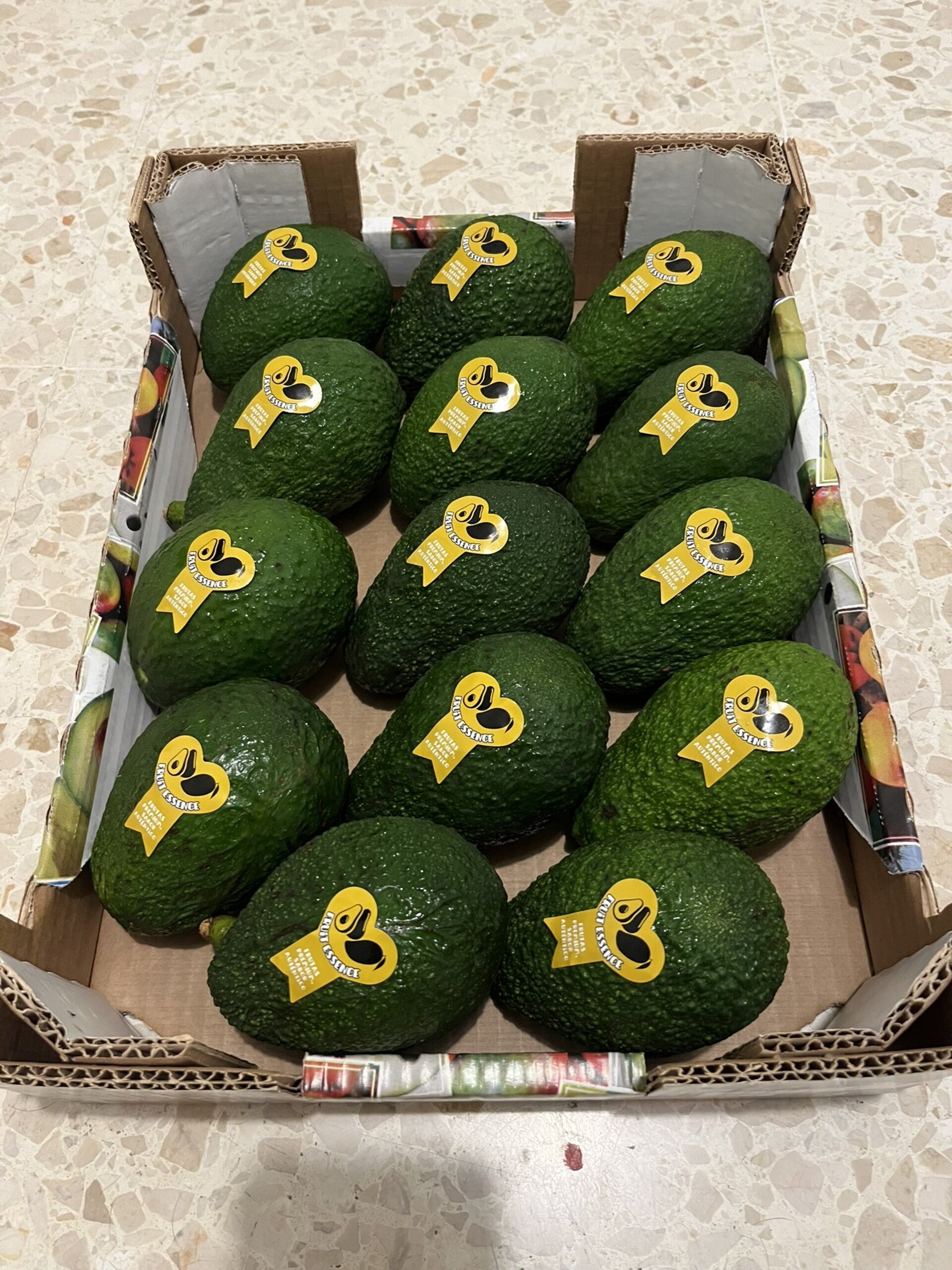 AGUACATE HASS - 3