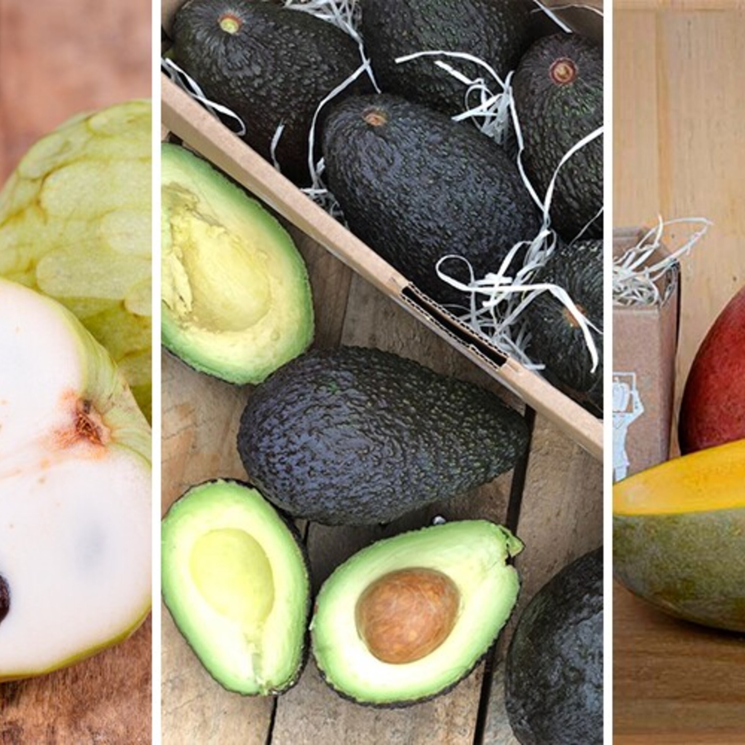 FRUTAS TROPICALES