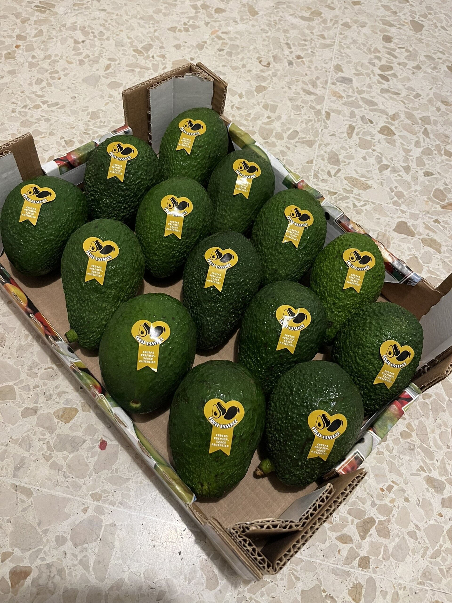AGUACATE HASS - 4